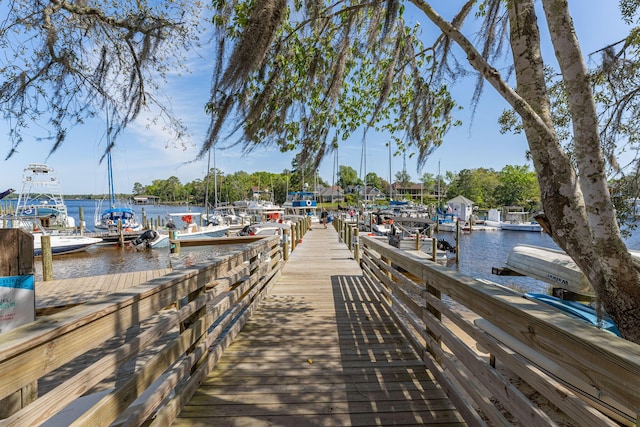 dock area with a water view