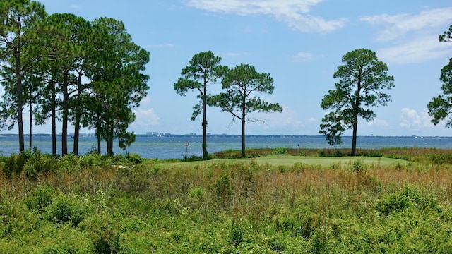 view of water feature