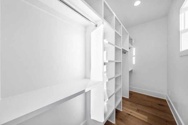 spacious closet featuring dark wood-style flooring