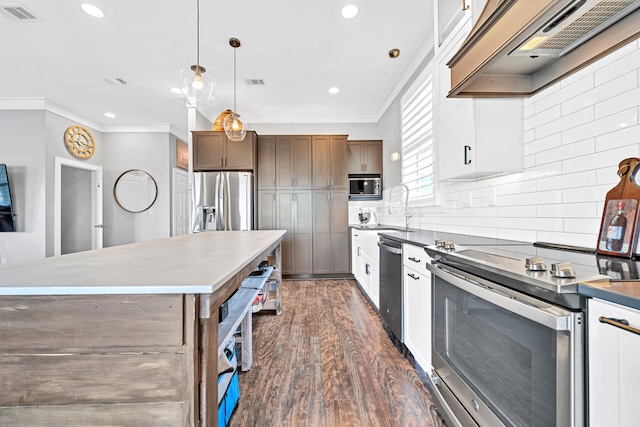 kitchen featuring stainless steel appliances, under cabinet range hood, a sink, visible vents, and crown molding