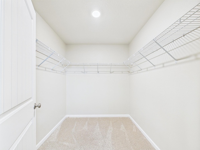643 Earl Godwin Rd, Freeport, FL 32439 - walk in closet with carpet floors