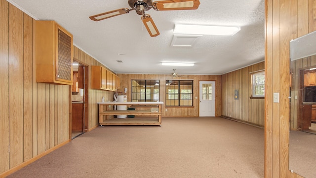 2374 County Highway 280a, Defuniak Springs, FL 32435 - below grade area with wooden walls, a textured ceiling, light colored carpet, water heater, and ceiling fan