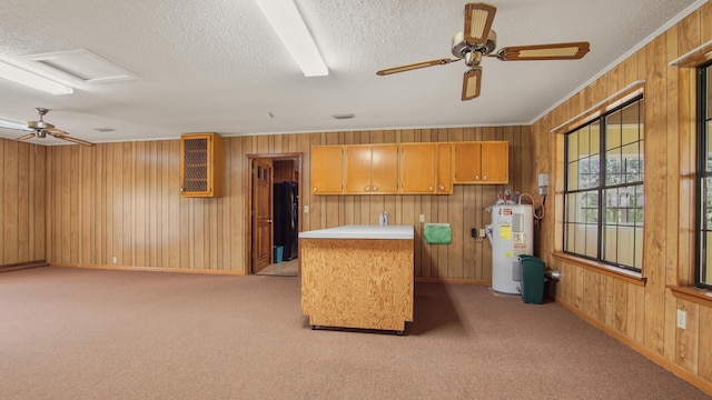 2374 County Highway 280a, Defuniak Springs, FL 32435 - kitchen featuring water heater, wooden walls, baseboards, ceiling fan, and a textured ceiling