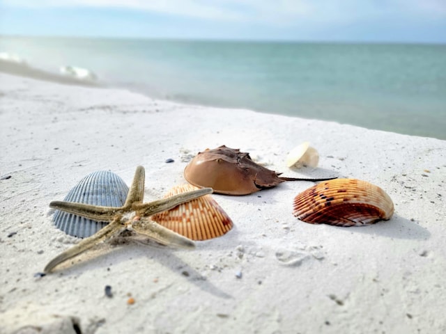 0 US-98 Port St, Joe, FL 32456 - photo 21