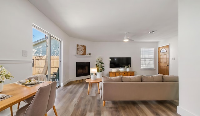 living room with visible vents, a ceiling fan, a fireplace, and light wood finished floors