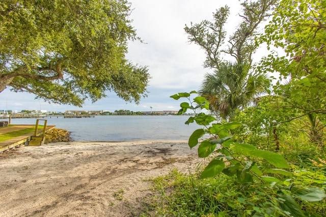 property view of water