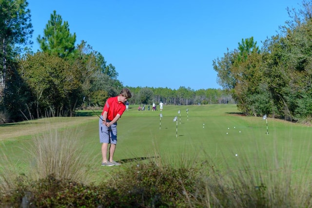 197 Suwannee Dr Lot 18, Watersound, FL 32461 - view of community