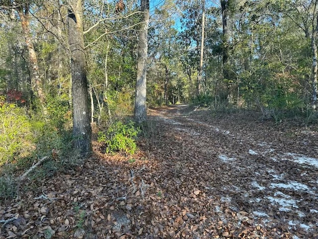 5730 Strickland Rd, Ebro, FL 32437 - photo 3