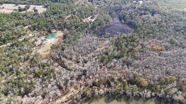 5730 Strickland Rd, Ebro, FL 32437 - photo 8