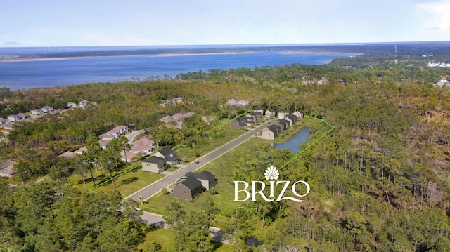 153 Brizo Ln Lot 6, Santa Rosa Beach, FL 32459 - photo 22