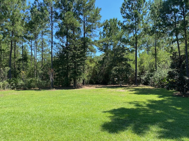 43 Secret St, Freeport, FL 32439 - photo 19