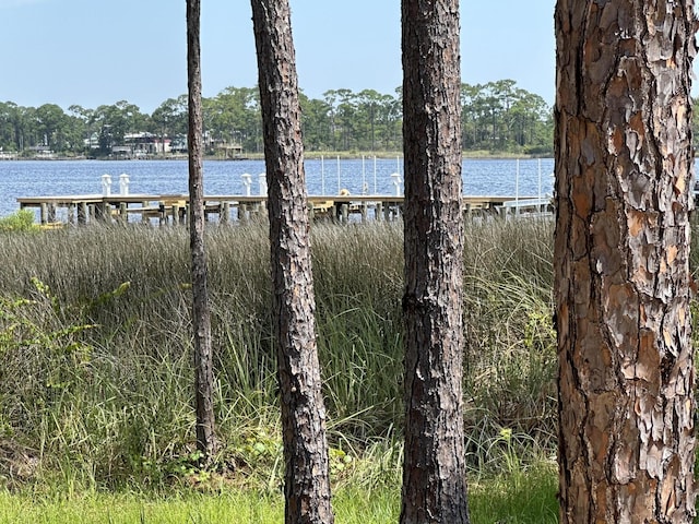 view of water feature with a boat dock