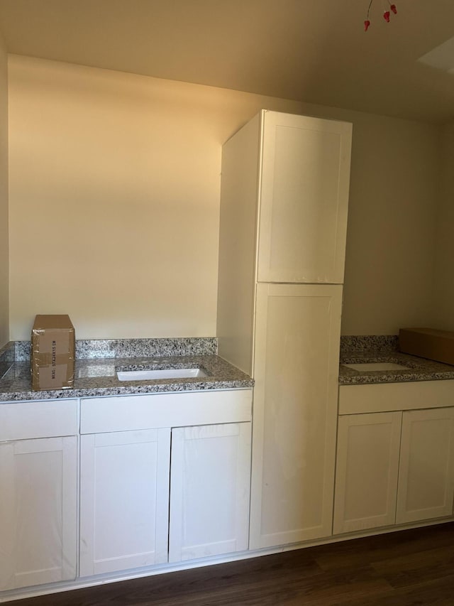 interior space featuring vanity and wood finished floors