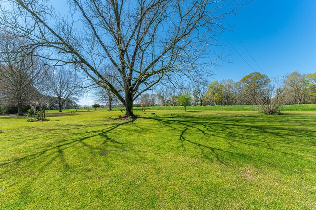 21753 Fifth Ave, Florala, AL 36442 - photo 85