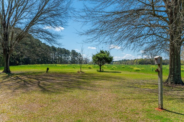 21753 Fifth Ave, Florala, AL 36442 - photo 84