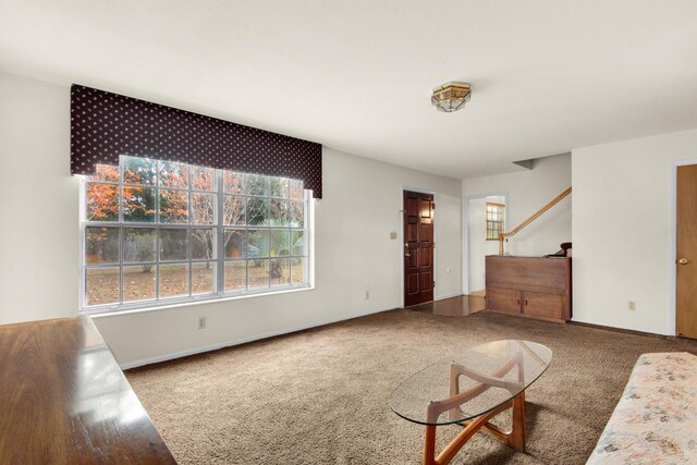 unfurnished living room featuring carpet