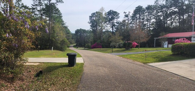 0000 Country Club Dr, Bonifay, FL 32425 - photo 3