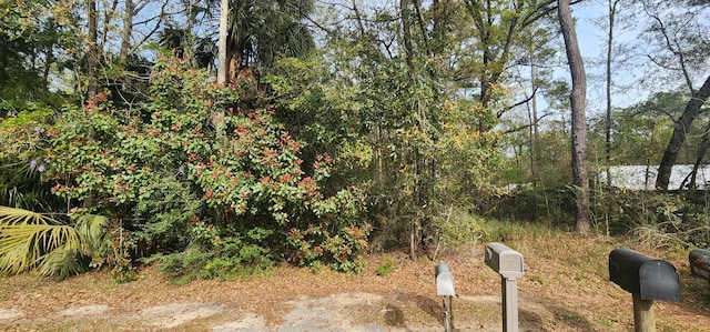 0000 Country Club Dr, Bonifay, FL 32425 - photo 4