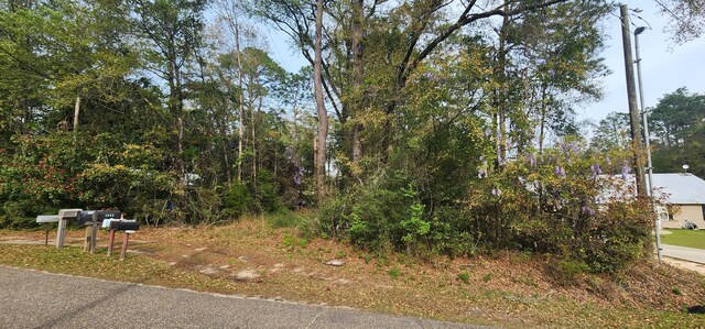 0000 Country Club Dr, Bonifay, FL 32425 - photo 6