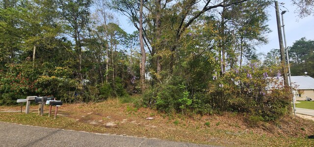 0000 Country Club Dr, Bonifay, FL 32425 - photo 7