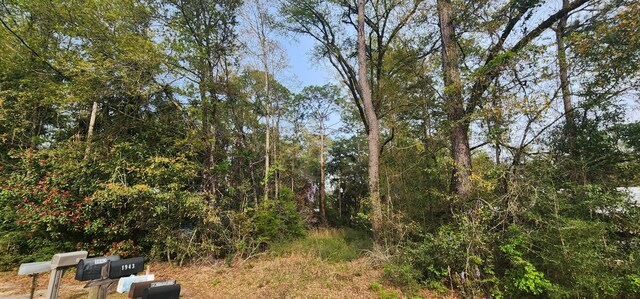 0000 Country Club Dr, Bonifay, FL 32425 - photo 8