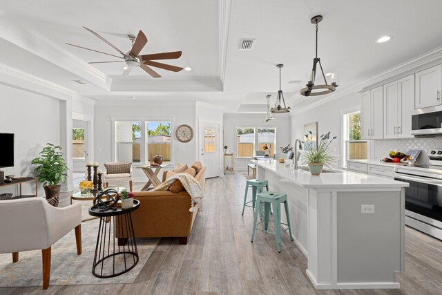 213 N Wells St, Panama City Beach, FL 32413 - kitchen with a tray ceiling, visible vents, stainless steel appliances, and open floor plan