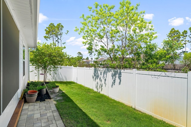 view of yard featuring a fenced backyard and a patio area