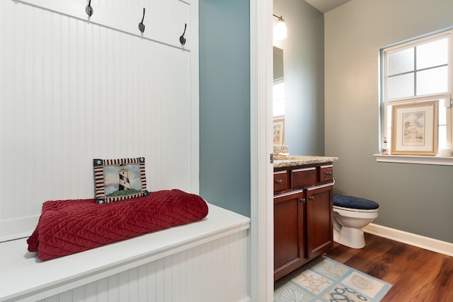 bathroom with baseboards, wood finished floors, toilet, and vanity