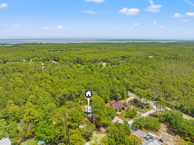 bird's eye view with a wooded view and a water view