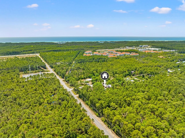 aerial view with a view of trees