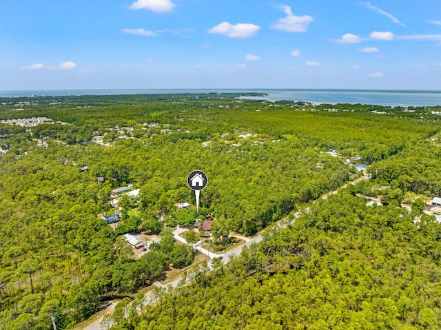 aerial view with a wooded view