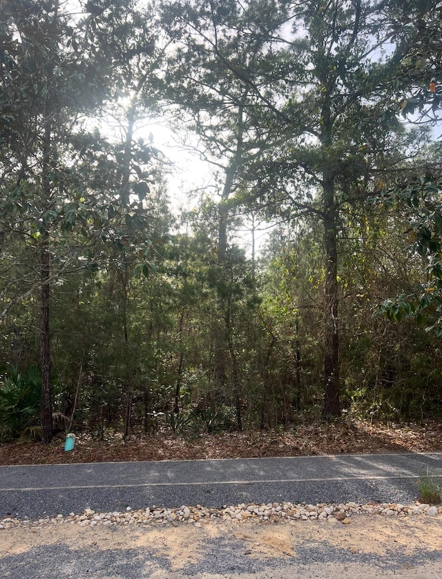 308 Cullman Ave, Santa Rosa Beach, FL 32459 - photo 2