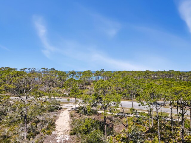 1548 Leisure Ln, Saint George Island, FL 32328