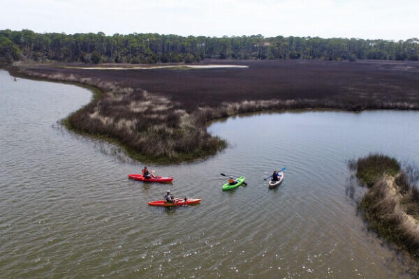 1548 Leisure Ln, Saint George Island, FL 32328