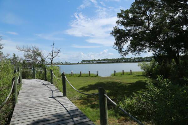 1548 Leisure Ln, Saint George Island, FL 32328