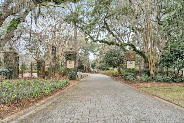 384 Carson Oaks Ln, Santa Rosa Beach, FL 32459 - view of street with curbs