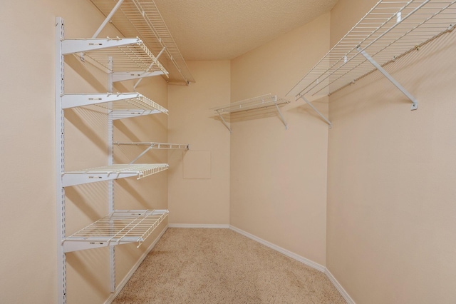 spacious closet with carpet flooring