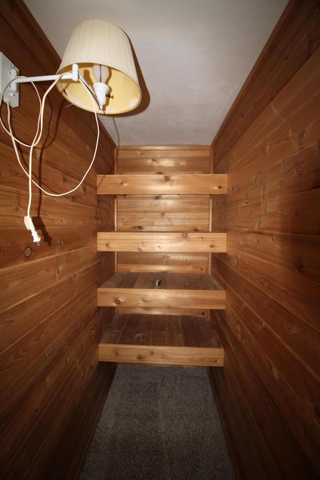 staircase with wood walls