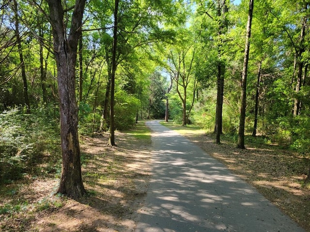 view of road with a view of trees