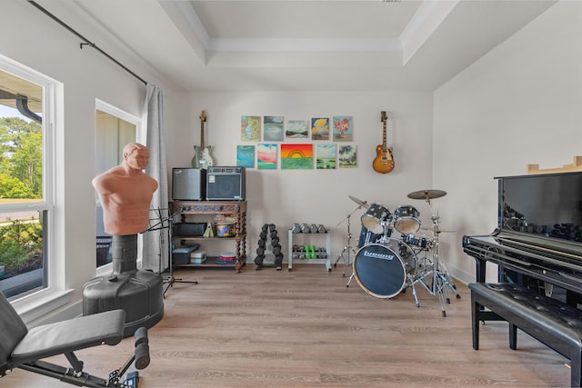playroom featuring wood finished floors and a raised ceiling