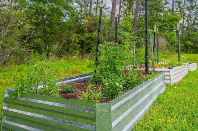 view of property's community featuring fence and a vegetable garden
