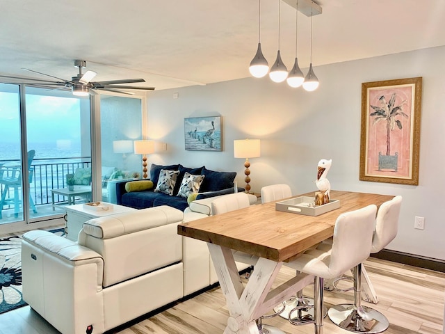 interior space featuring baseboards, ceiling fan, and light wood-type flooring