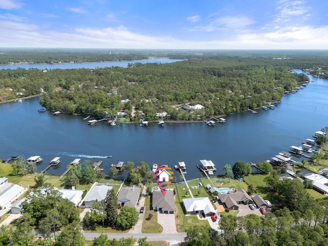 862 Bay Grove Rd, Freeport, FL 32439 - bird's eye view featuring a view of trees and a water view