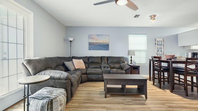 living area featuring visible vents, ceiling fan, light wood-type flooring, and plenty of natural light