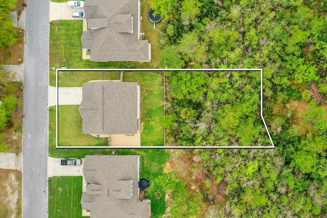bird's eye view