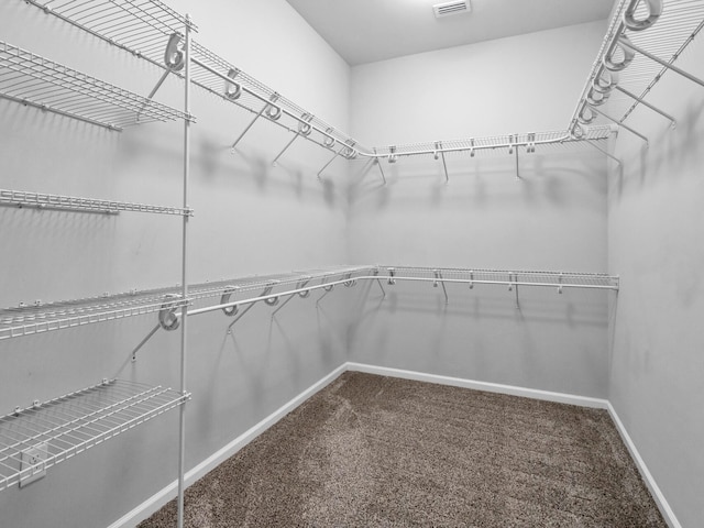 1160 Deer Moss Loop, Niceville, FL 32578 - walk in closet featuring carpet and visible vents