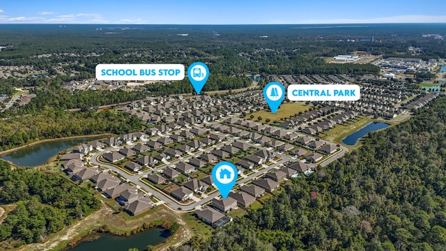 730 Cornelia St, Freeport, FL 32439 - aerial overview of property's location with a forest, a large body of water, and nearby suburban area