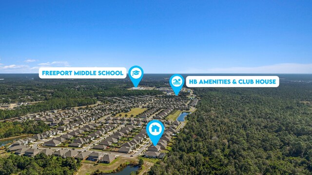730 Cornelia St, Freeport, FL 32439 - aerial perspective of suburban area featuring a forest and a nearby body of water