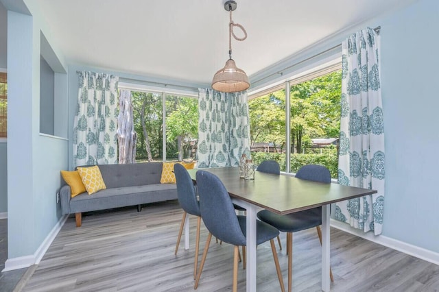dining area featuring wood finished floors, baseboards, and plenty of natural light