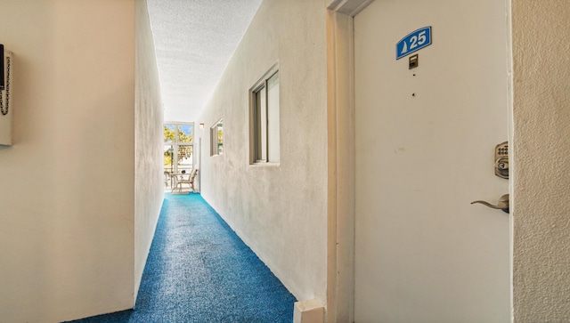 316 Cherry St Apt 25, Panama City, FL 32401 - photo 53